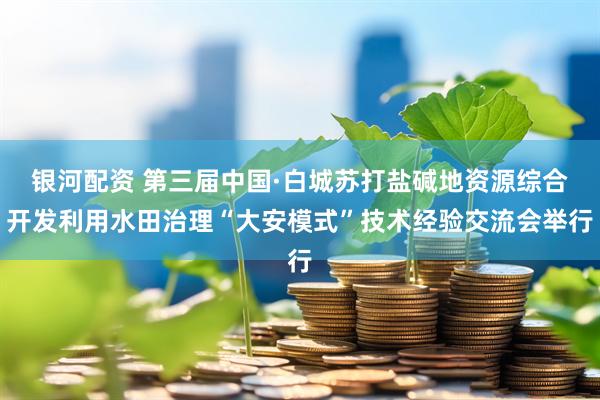 银河配资 第三届中国·白城苏打盐碱地资源综合开发利用水田治理“大安模式”技术经验交流会举行