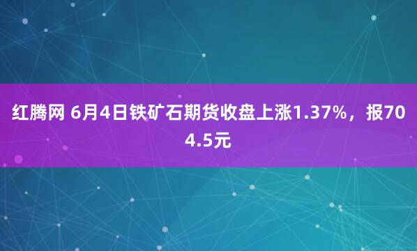 红腾网 6月4日铁矿石期货收盘上涨1.37%,报704.5元