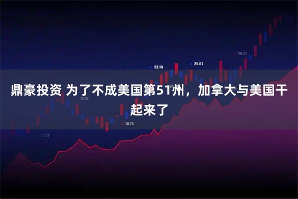 鼎豪投资 为了不成美国第51州，加拿大与美国干起来了