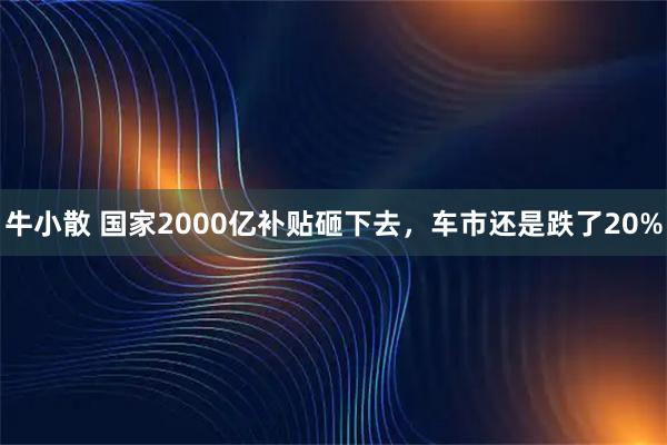 牛小散 国家2000亿补贴砸下去，车市还是跌了20%